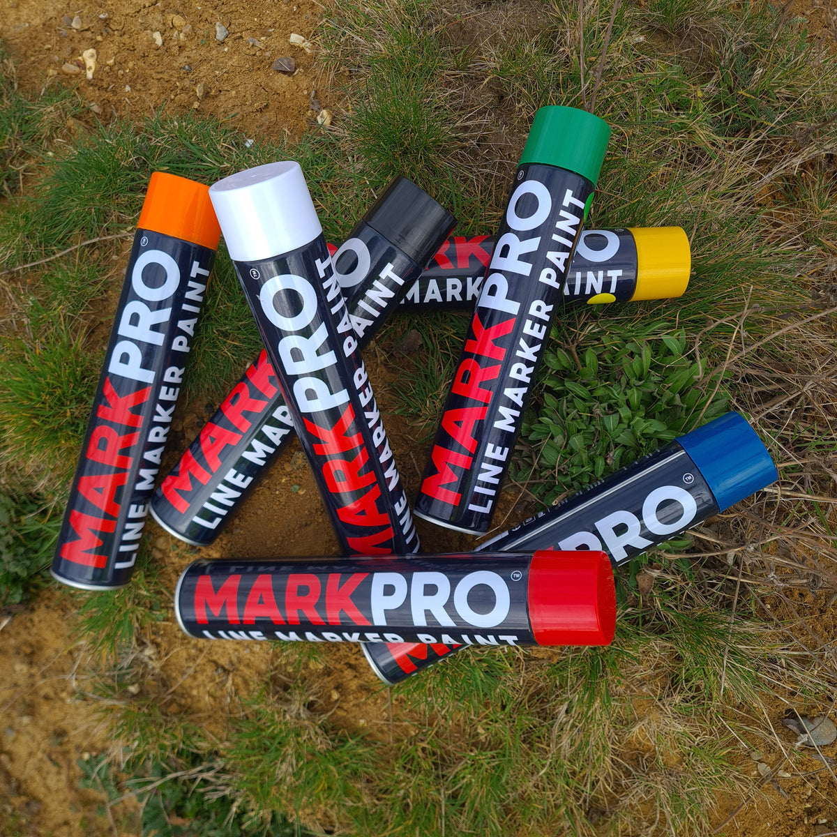 Line Marker Paint